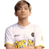 Player Logo