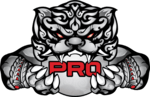 PRO Esports