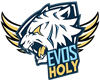 team a logo