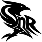 team b logo