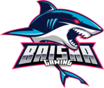 Team Logo