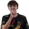Player Logo