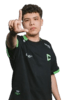 erde