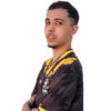 zaninZS