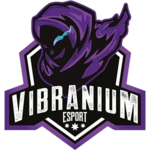 Vibranium Esports