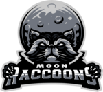 Moon Raccoons
