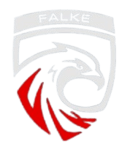 FALKE ESPORTS