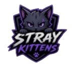 Stray Kittens