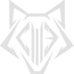 Cyber Wolves Esports
