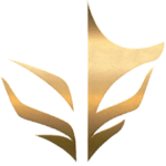South Built Esports